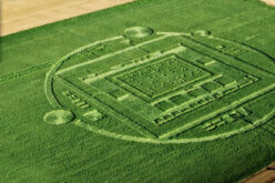 Crop circle caused by tech company