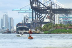 Exportadores de Miami & California