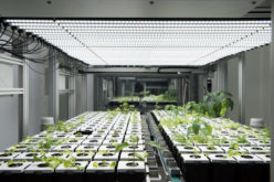 Atos lanza el primer proyecto de agricultura urbana digital en vertical del mundo