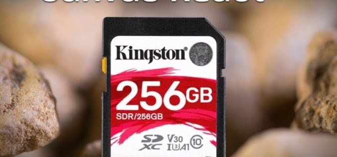 Kingston agrega capacidad de 256GB en su línea de tarjetas microSD Canvas React