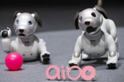 Sony anuncia nuevas mejoras de su adorable perro robot aibo