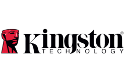 Kingston celebró el 1 de mayo junto a su equipo humano: el activo más importante para su crecimiento