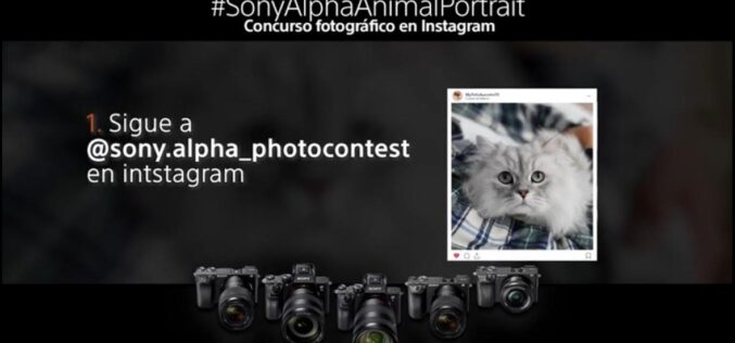 Captura la mirada de tu mascota y participa en el concurso fotográfico de retratos de animales de Sony en Instagram