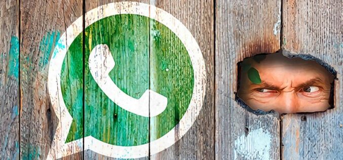 ¿Saliste de WhatsApp? conoce los puntos que debes considerar al elegir apps de mensajería