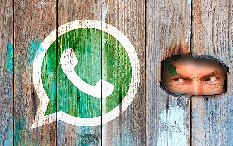 ¿Saliste de WhatsApp? conoce los puntos que debes considerar al elegir apps de mensajería
