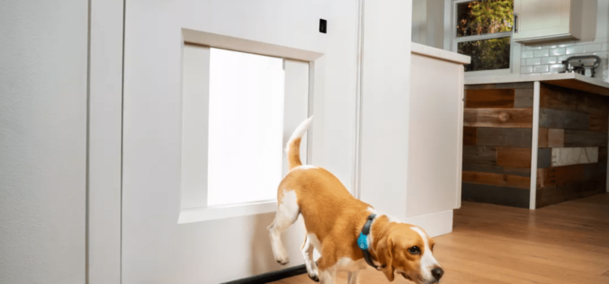 CES 2021: conoce la puerta para mascotas de $ 3.000