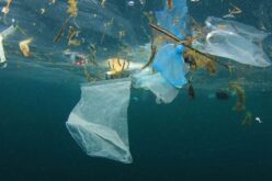 LG conmemora el Día Mundial del Medio Ambiente con un poco menos de  plástico
