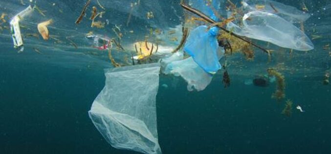 LG conmemora el Día Mundial del Medio Ambiente con un poco menos de  plástico